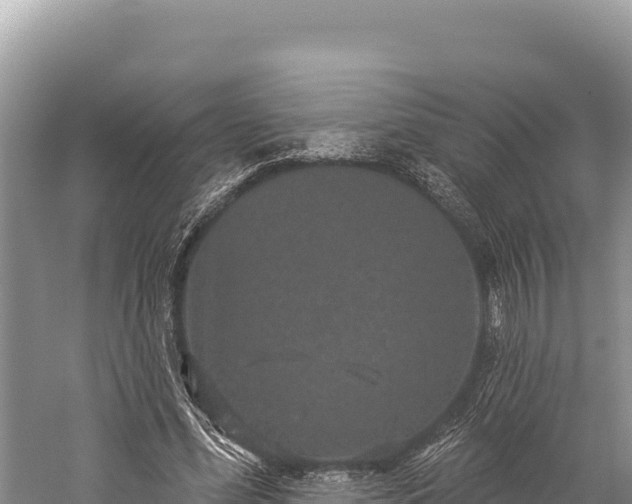 X0000059240588200510211604