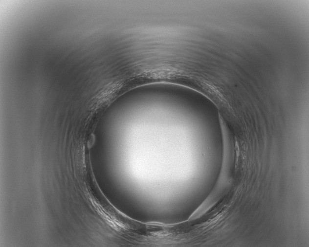 X0000059240589200510211604