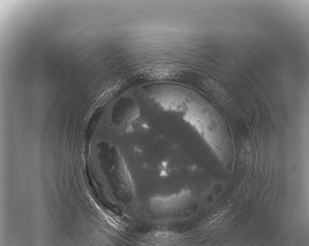 X0000059240590200510211604