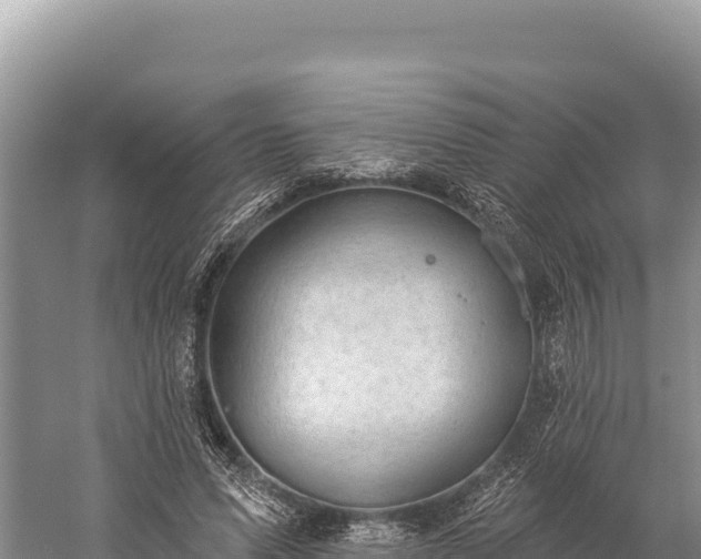 X0000059240591200510211604