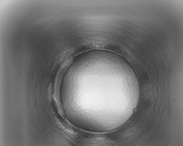 X0000059240594200510211604