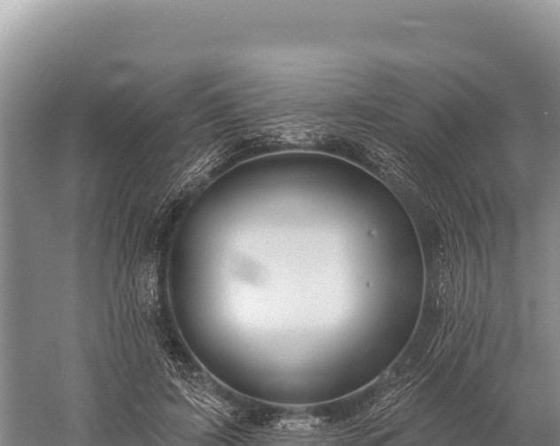 X0000059240595200510211604