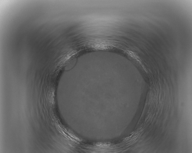 X0000059240596200510211604