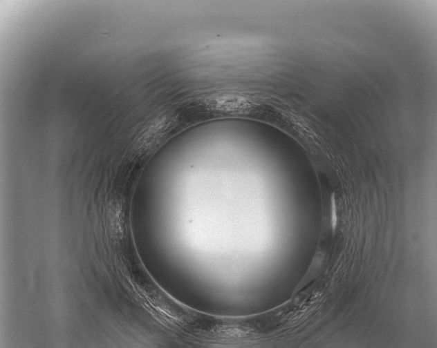 X0000059240597200510211604