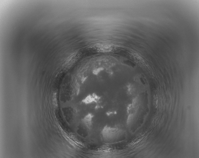 X0000059240598200510211604