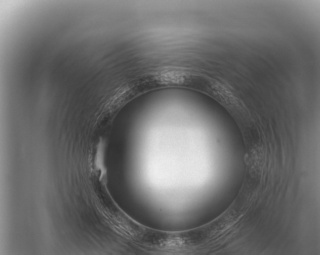 X0000059240600200510211604