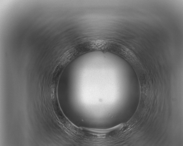 X0000059240602200510211604