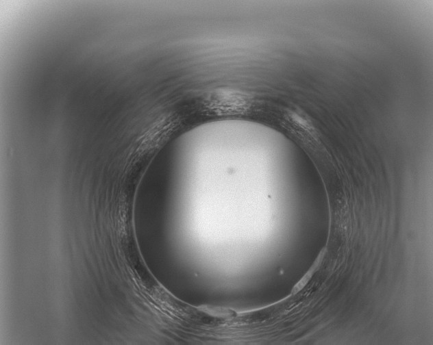 X0000059240604200510211604