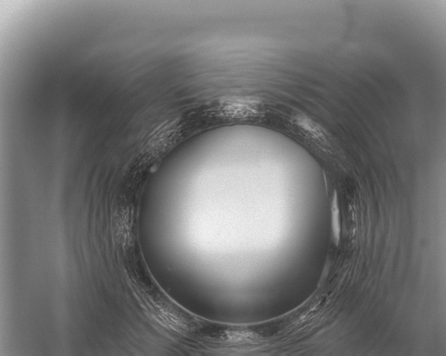 X0000059240605200510211604