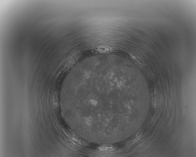 X0000059240606200510211604