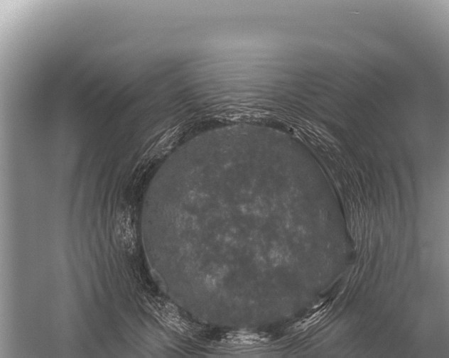 X0000059240607200510211604