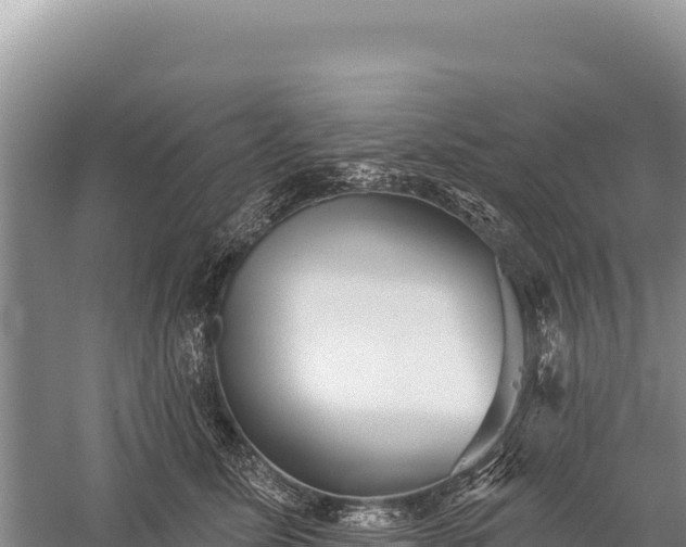 X0000059240611200510211604