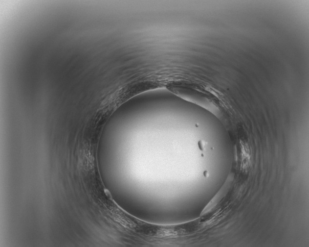 X0000059240613200510211604