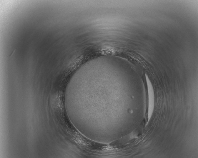 X0000059240616200510211604