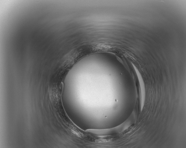 X0000059240617200510211604