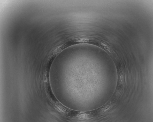 X0000059240620200510211604