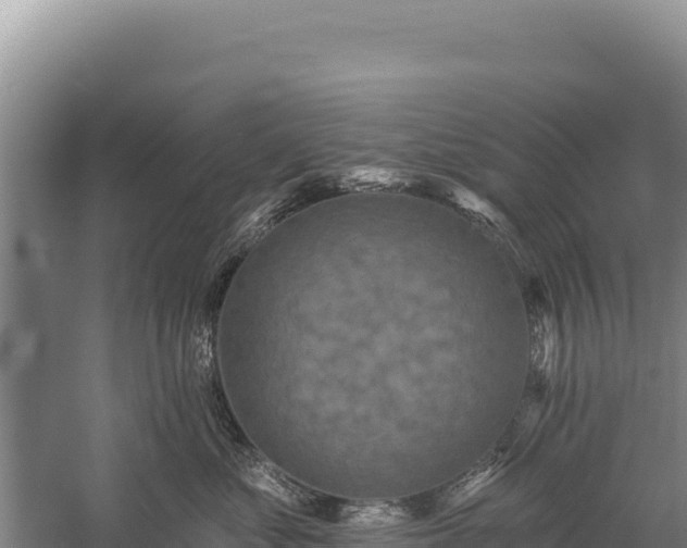 X0000059240621200510211604