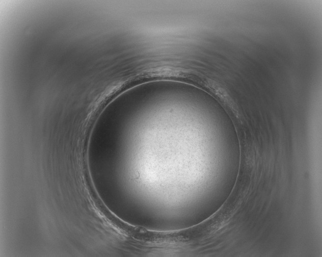 X0000059240625200510211603