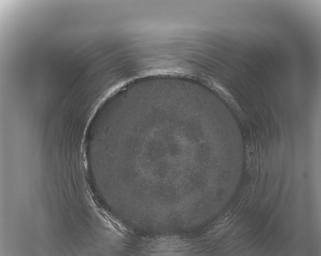 X0000059240628200510211603