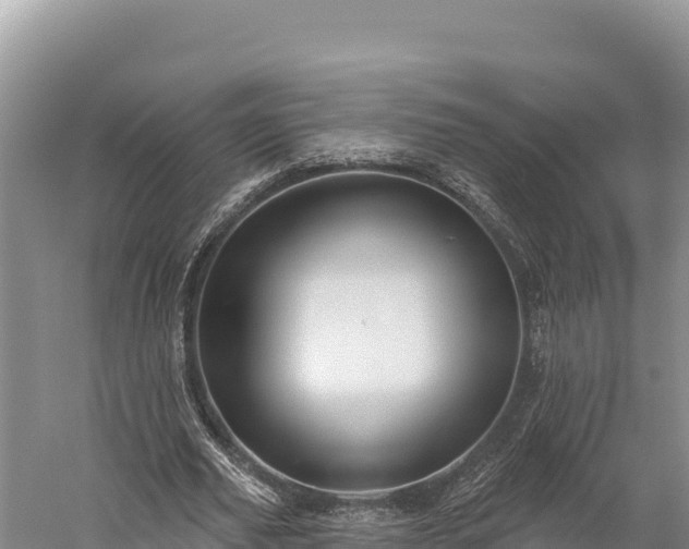 X0000059240629200510211603