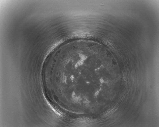 X0000059240630200510211603