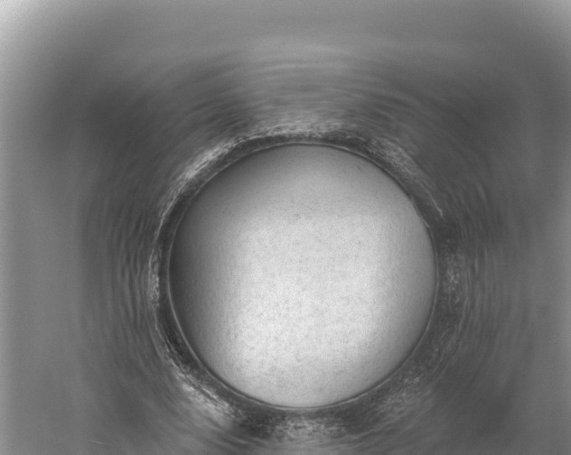 X0000059240632200510211603