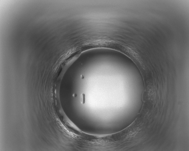 X0000059240633200510211603