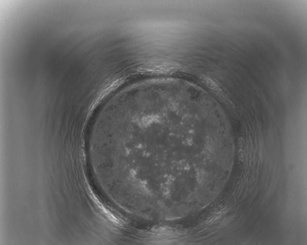 X0000059240634200510211603