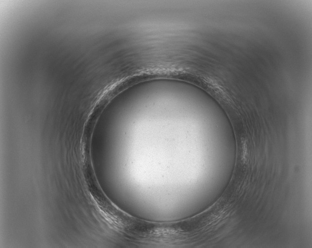 X0000059240636200510211603