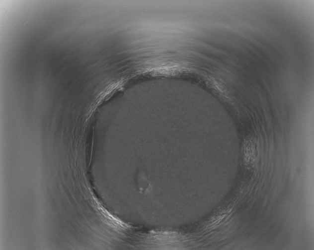 X0000059240637200510211603