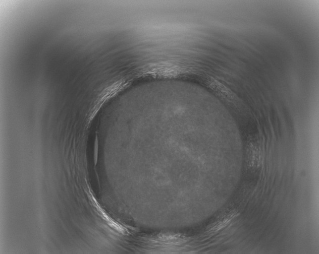 X0000059240638200510211603