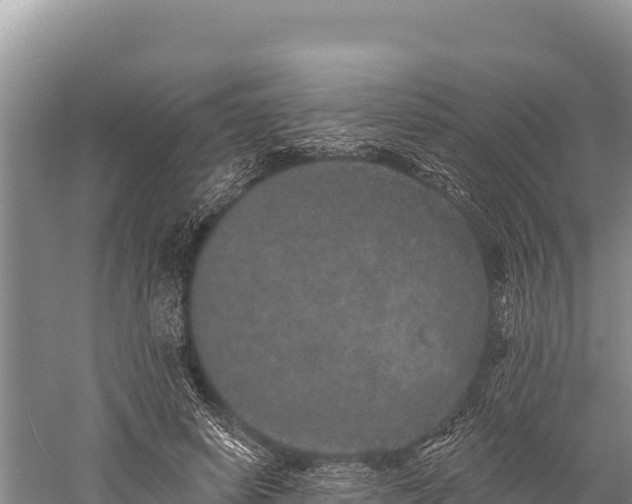 X0000059240642200510211603