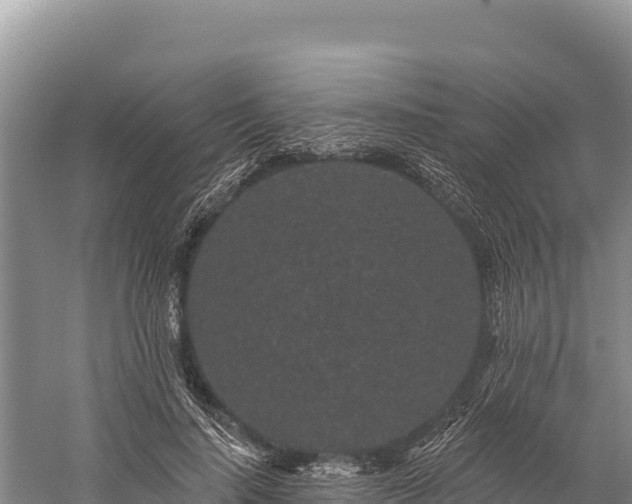 X0000059240644200510211603