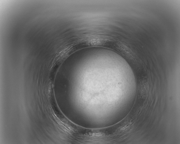 X0000059240645200510211603