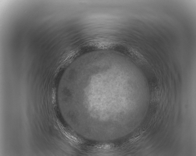 X0000059240646200510211603