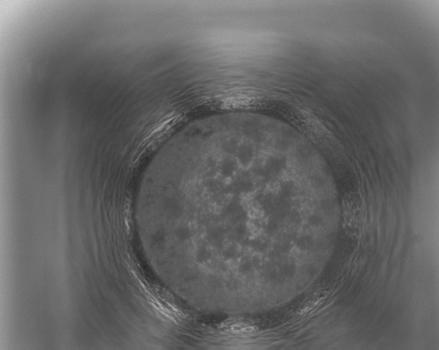 X0000059240648200510211603