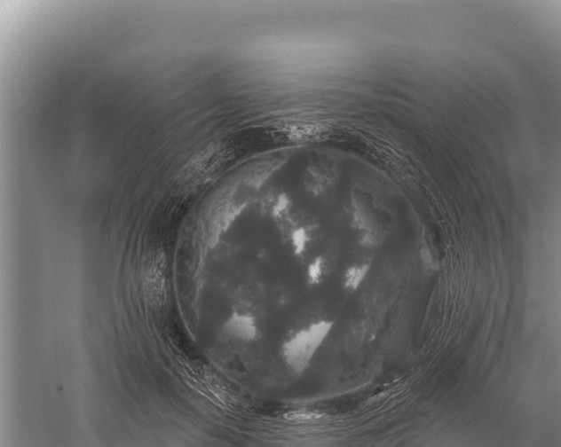 X0000059240650200510211603