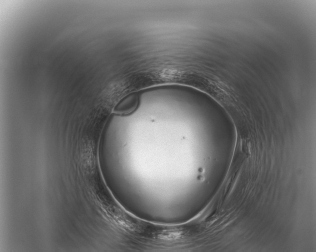 X0000059240651200510211603