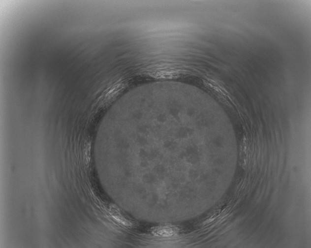 X0000059240652200510211603