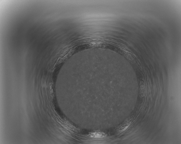 X0000059240654200510211603