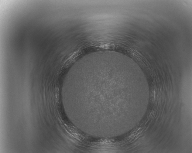 X0000059240656200510211603