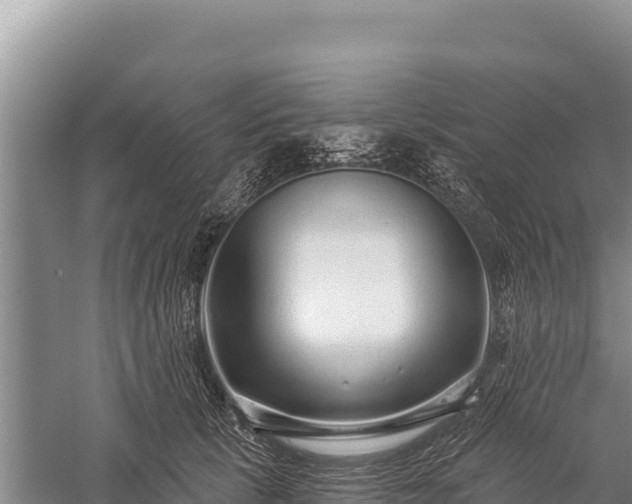 X0000059240657200510211603