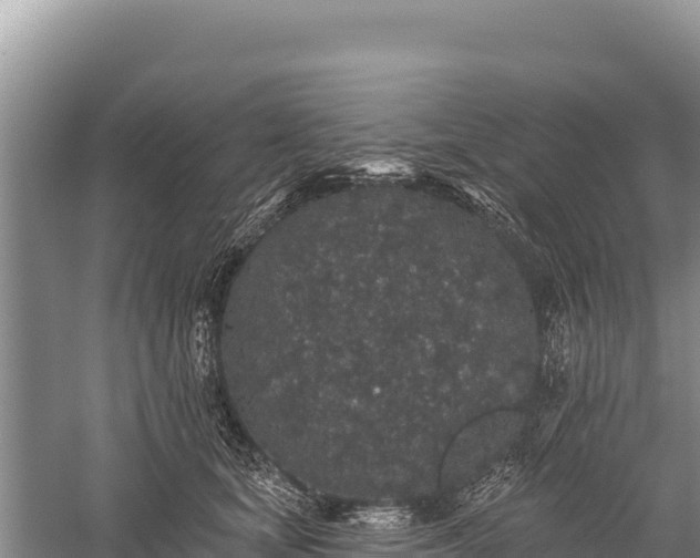 X0000059240659200510211603