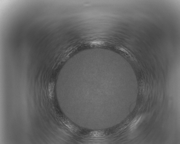 X0000059240660200510211603