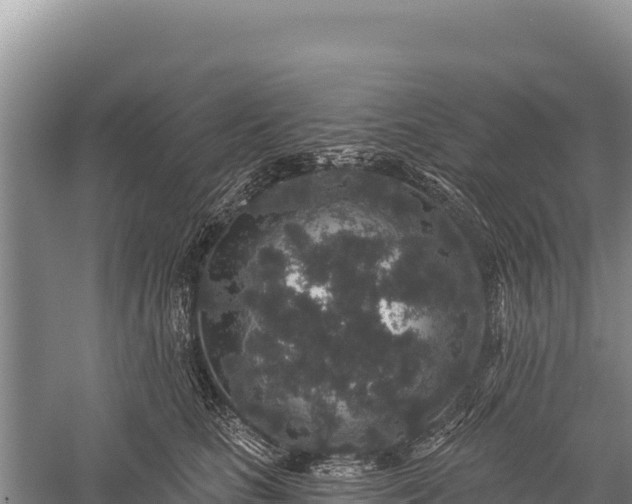 X0000059240661200510211603