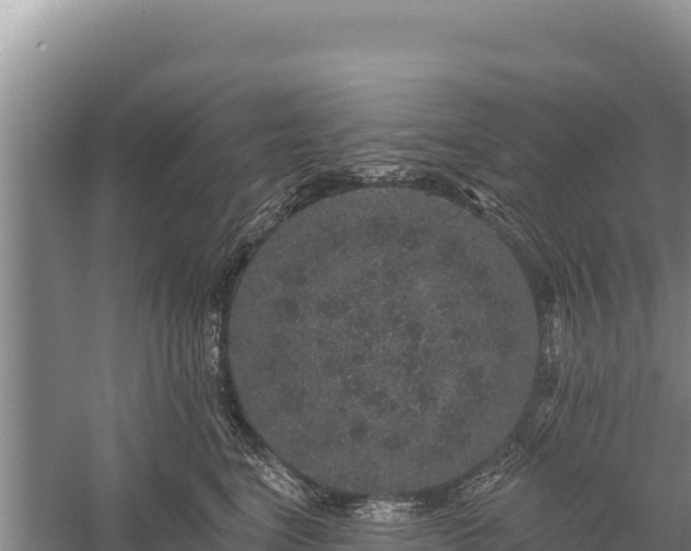 X0000059240664200510211604