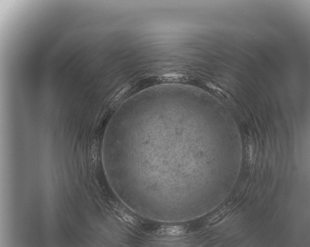 X0000059240665200510211604