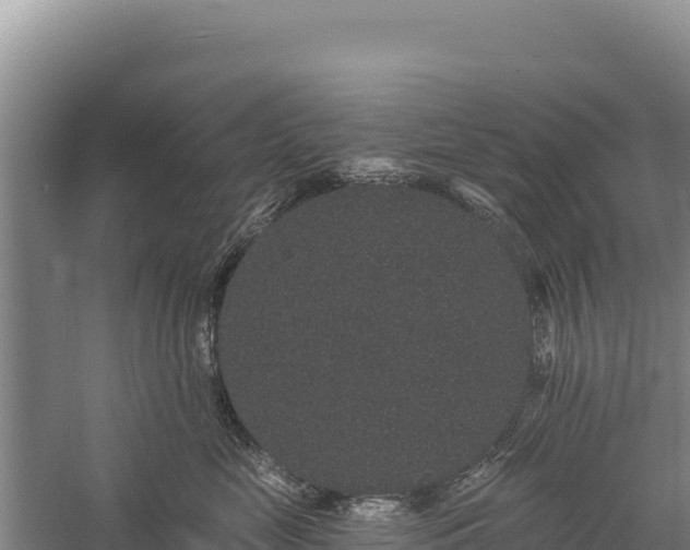 X0000059240669200510211604