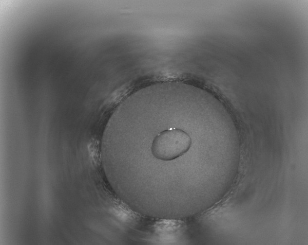 X0000059240672200510211604