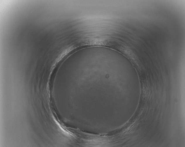 X0000059240674200510211603